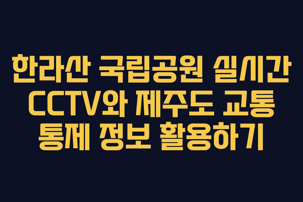 한라산 국립공원 실시간 CCTV와 제주도 교통 통제 정보 활용하기 한라산 국립공원 실시간 CCTV와 제주도 교통 통제 정보 활용하기