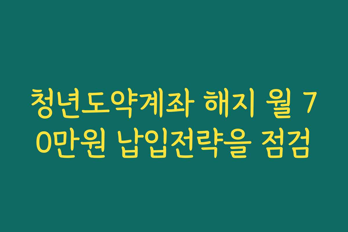 청년도약계좌 해지 월 70만원 납입전략을 점검 청년도약계좌 해지 월 70만원 납입전략을 점검