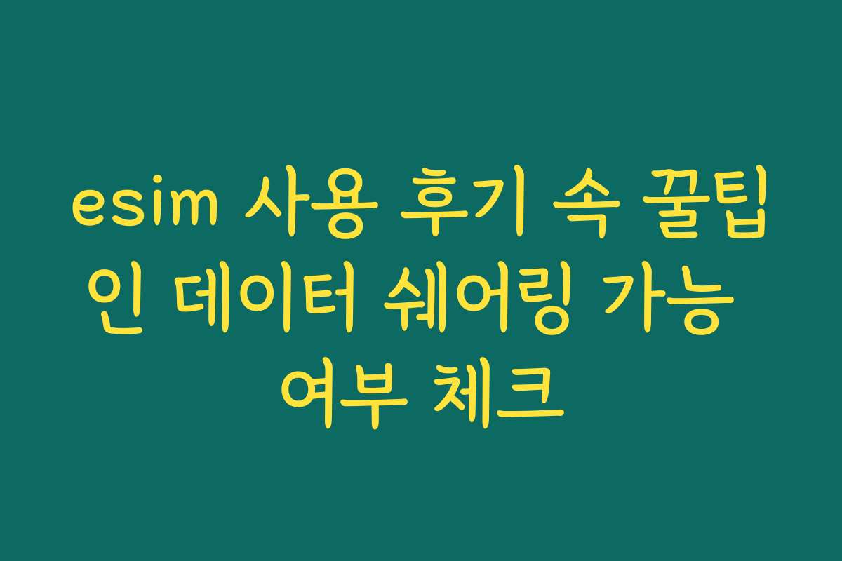 esim 사용 후기 속 꿀팁인 데이터 쉐어링 가능 여부 체크