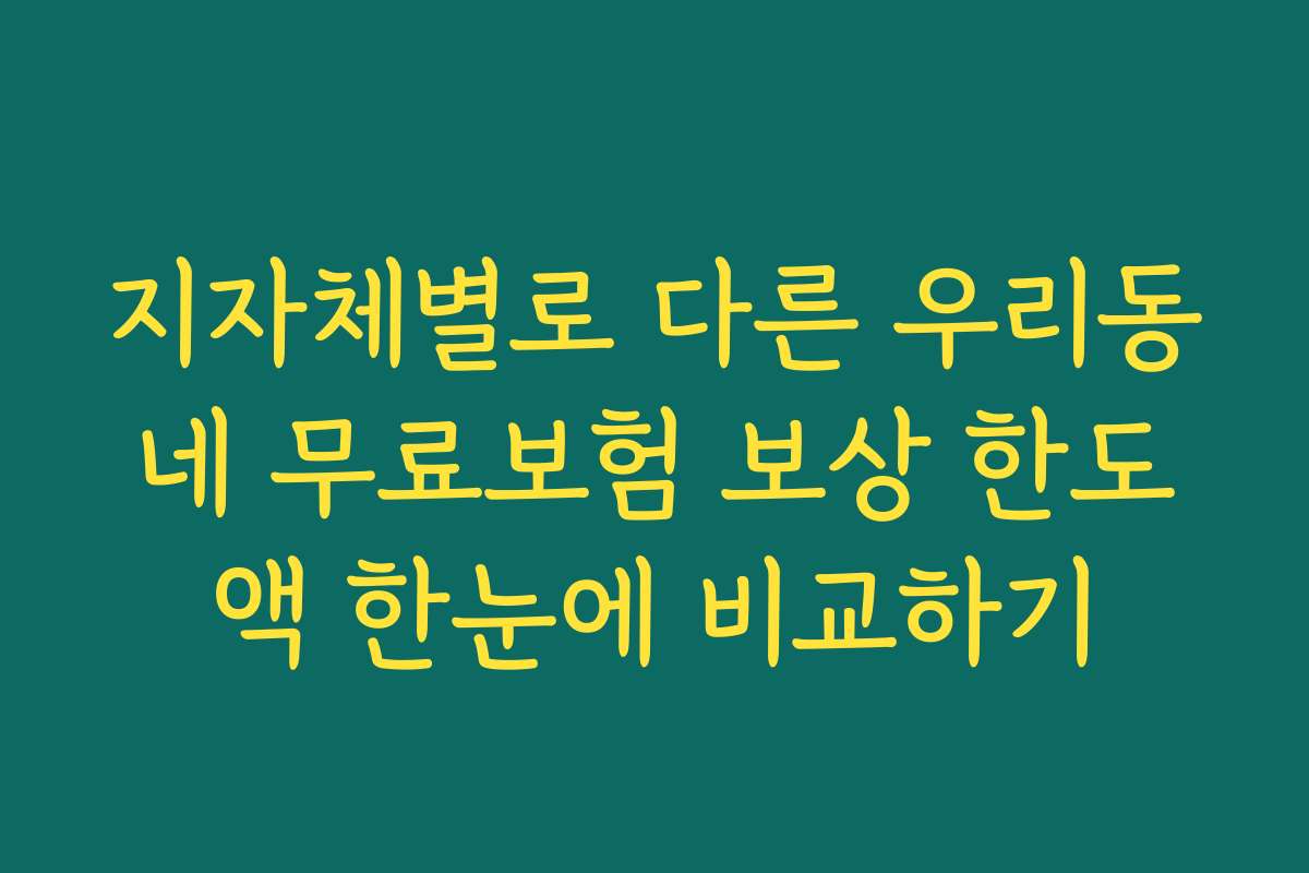 지자체별로 다른 우리동네 무료보험 보상 한도액 한눈에 비교하기