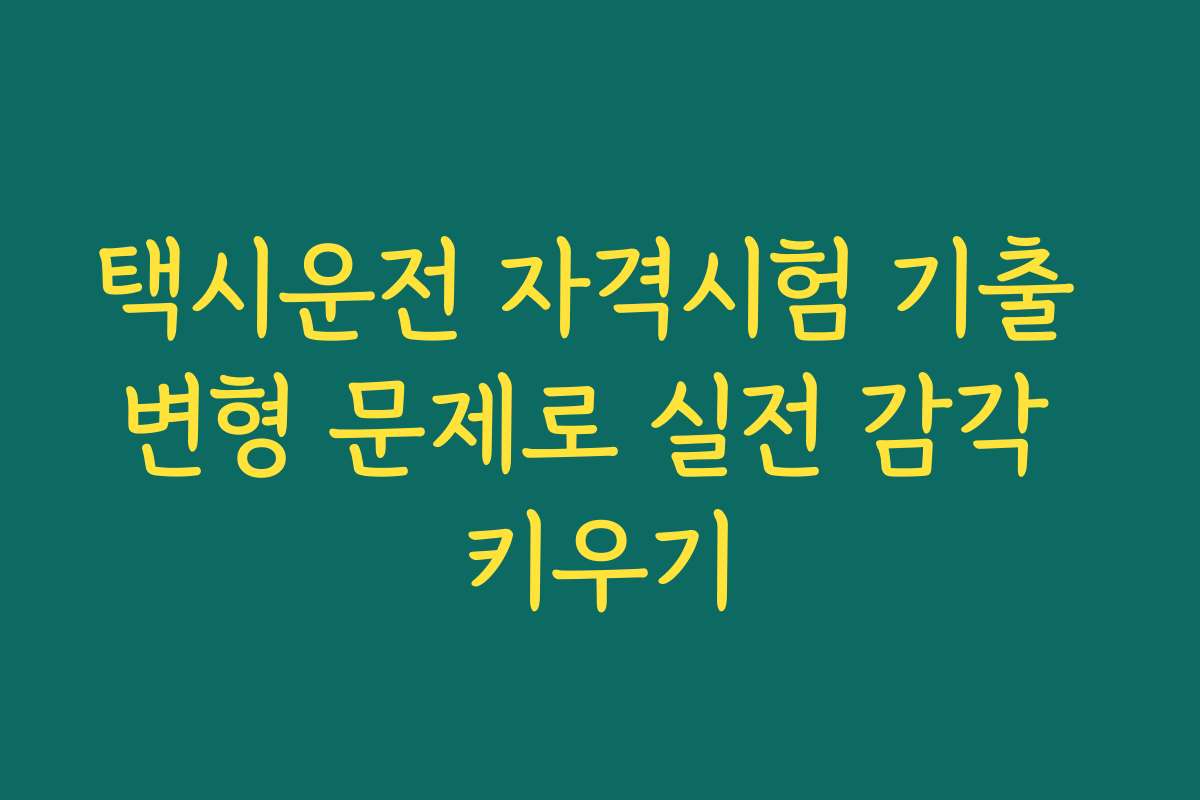 택시운전 자격시험 기출 변형 문제로 실전 감각 키우기