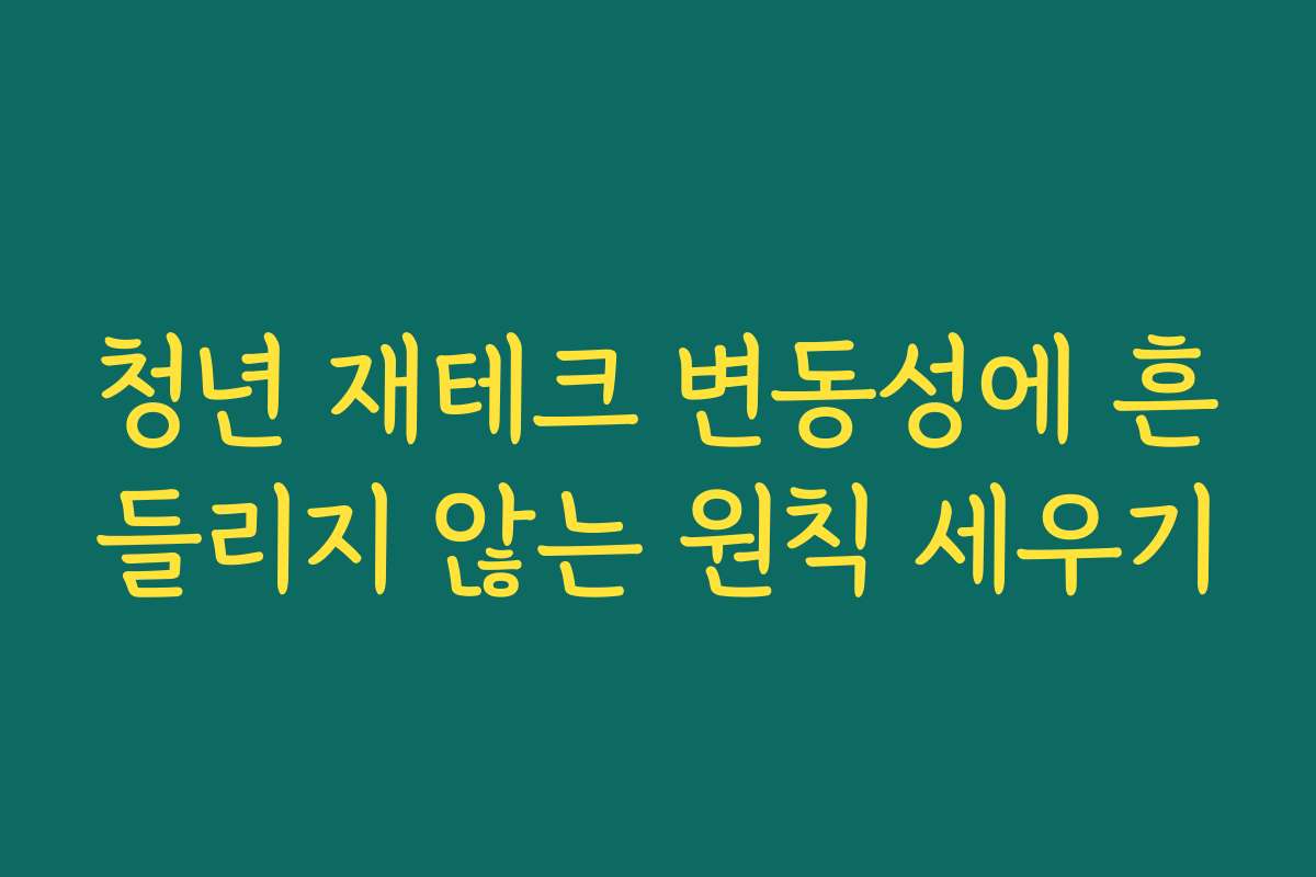 청년 재테크 변동성에 흔들리지 않는 원칙 세우기 청년 재테크 변동성에 흔들리지 않는 원칙 세우기