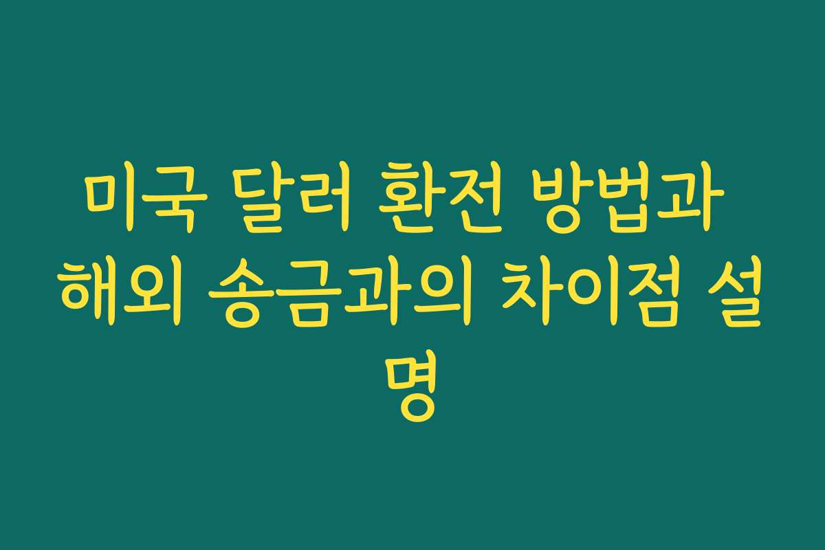 미국 달러 환전 방법과 해외 송금과의 차이점 설명 미국 달러 환전 방법과 해외 송금과의 차이점 설명