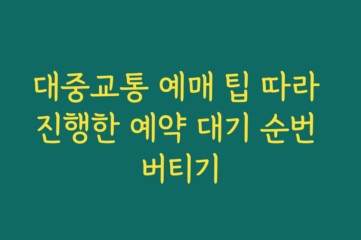 대중교통 예매 팁 따라 진행한 예약 대기 순번 버티기