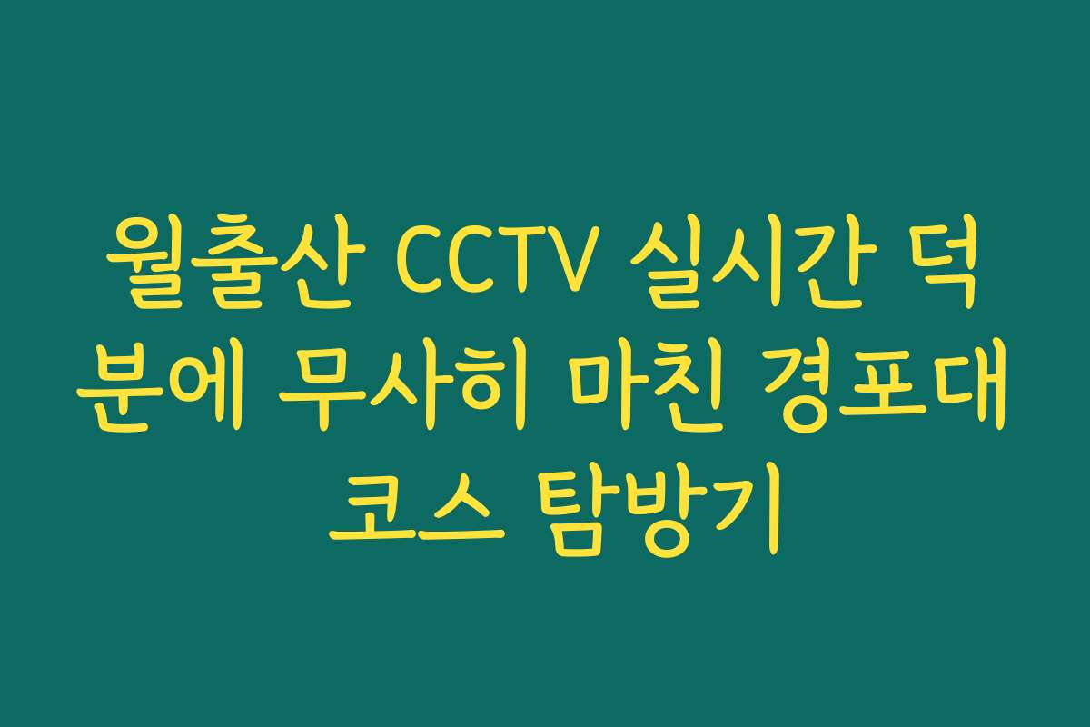 월출산 CCTV 실시간 덕분에 무사히 마친 경포대 코스 탐방기