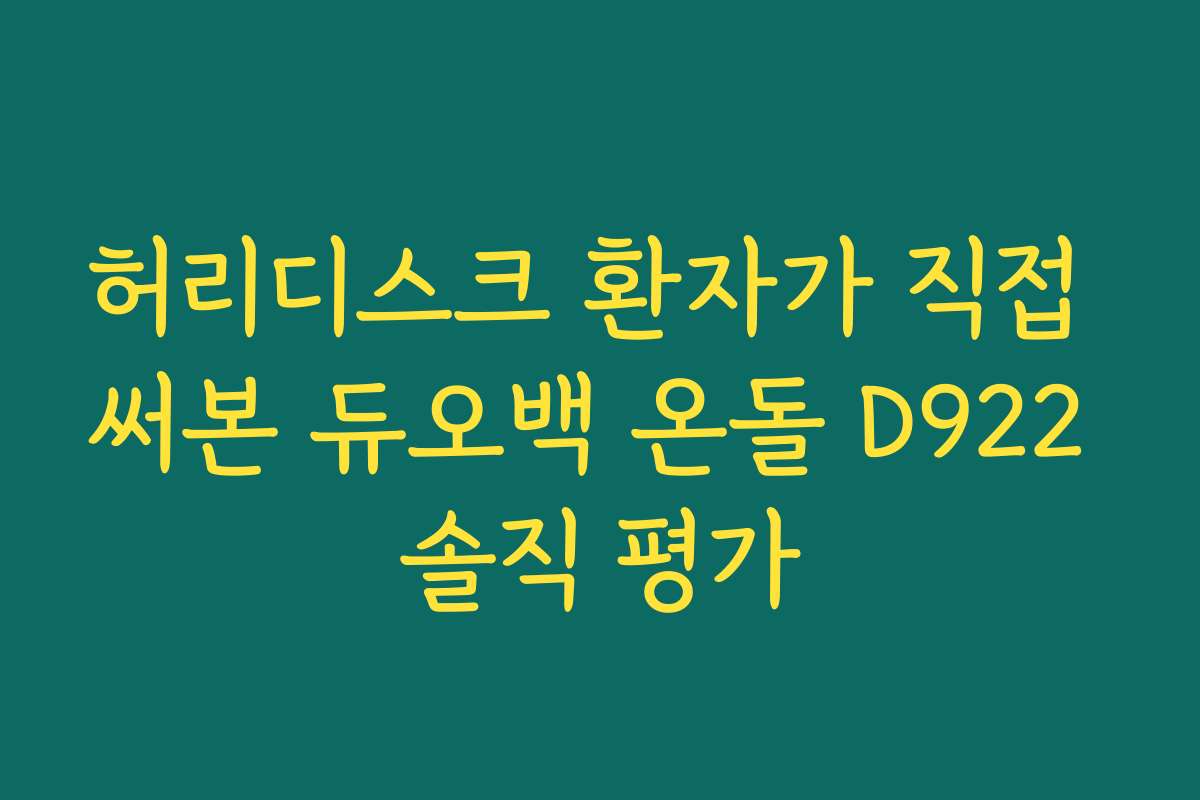 허리디스크 환자가 직접 써본 듀오백 온돌 D922 솔직 평가