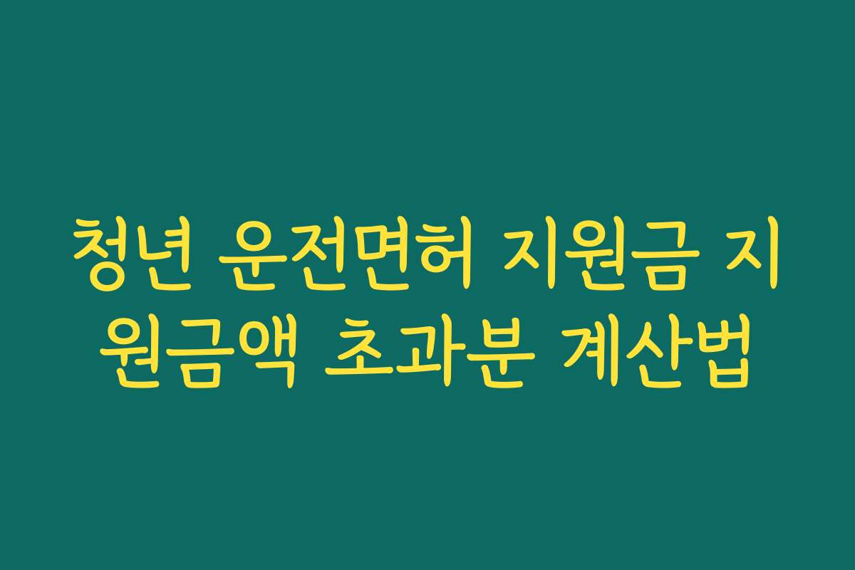 청년 운전면허 지원금 지원금액 초과분 계산법 청년 운전면허 지원금 지원금액 초과분 계산법