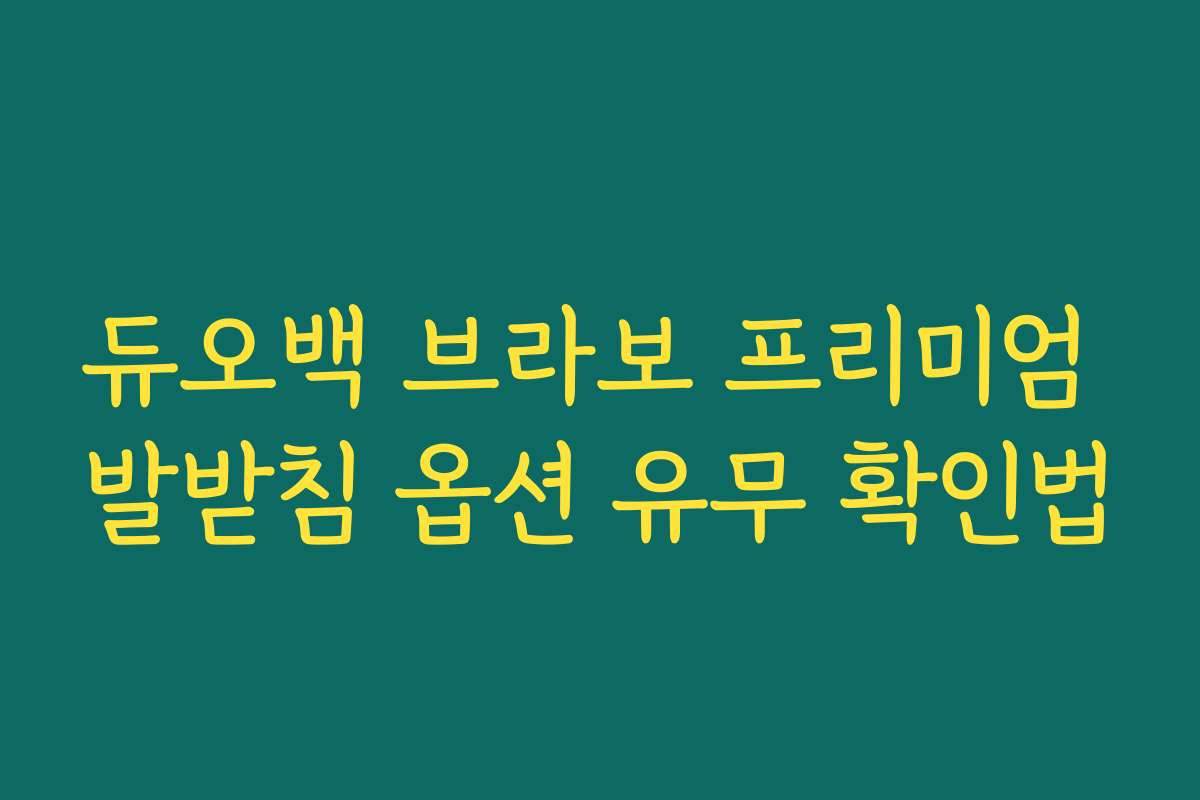 듀오백 브라보 프리미엄 발받침 옵션 유무 확인법
