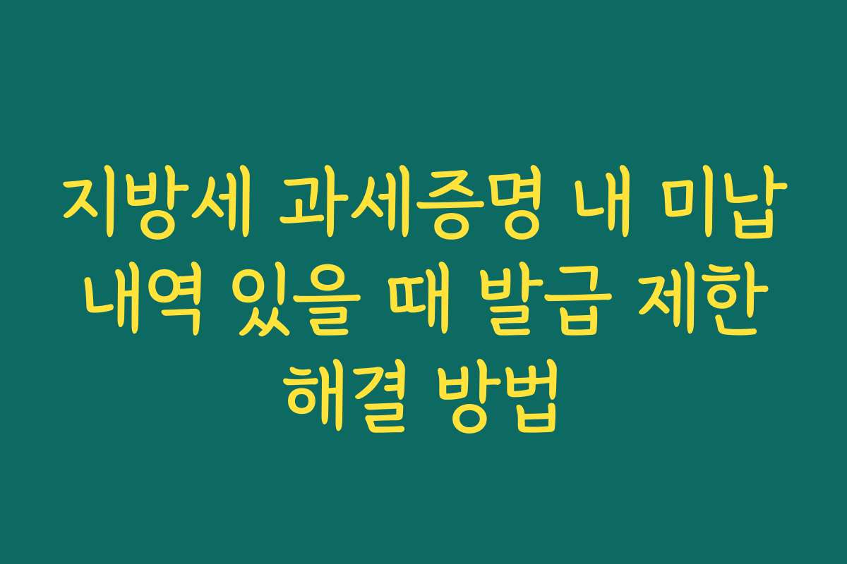 지방세 과세증명 내 미납 내역 있을 때 발급 제한 해결 방법