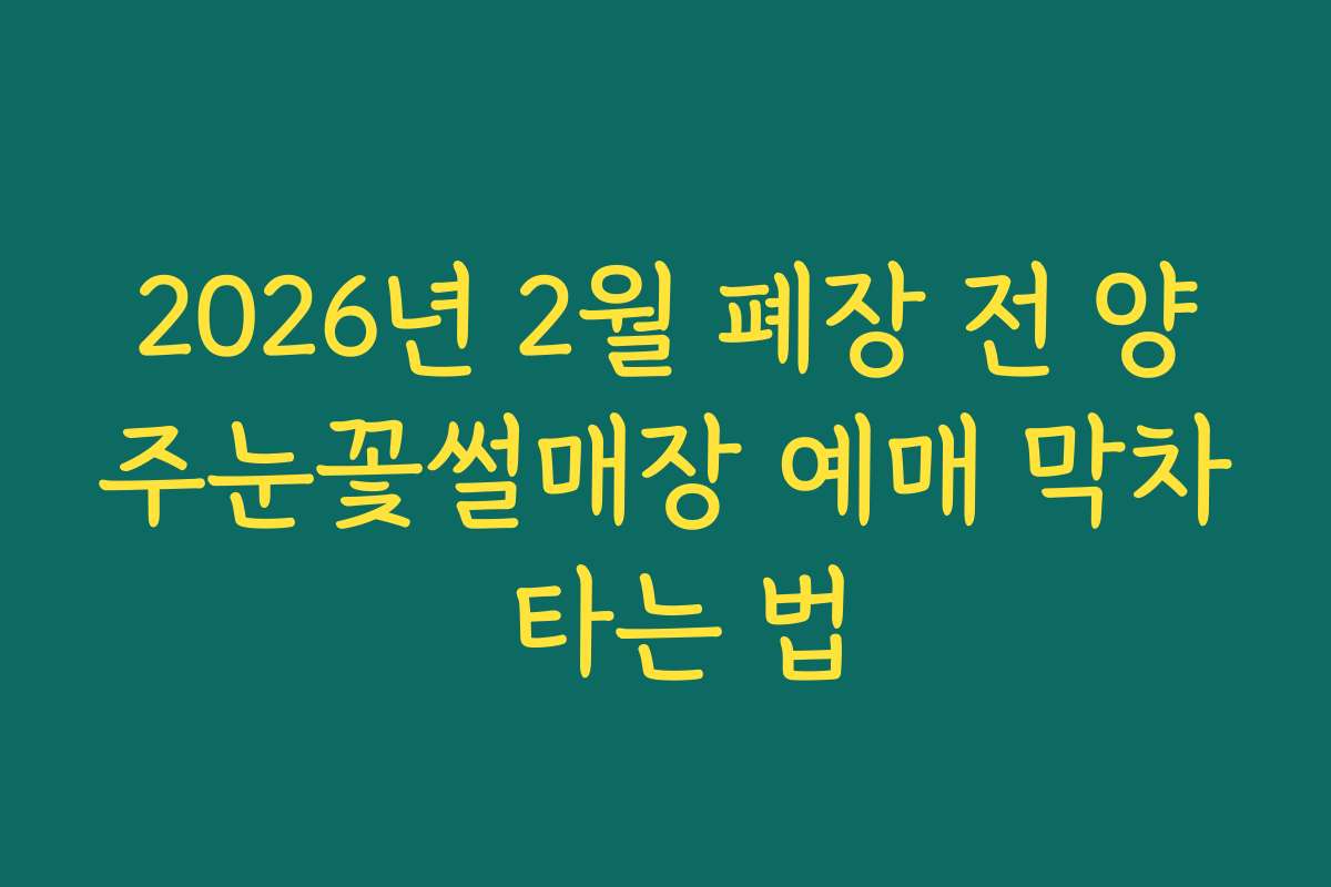 2026년 2월 폐장 전 양주눈꽃썰매장 예매 막차 타는 법