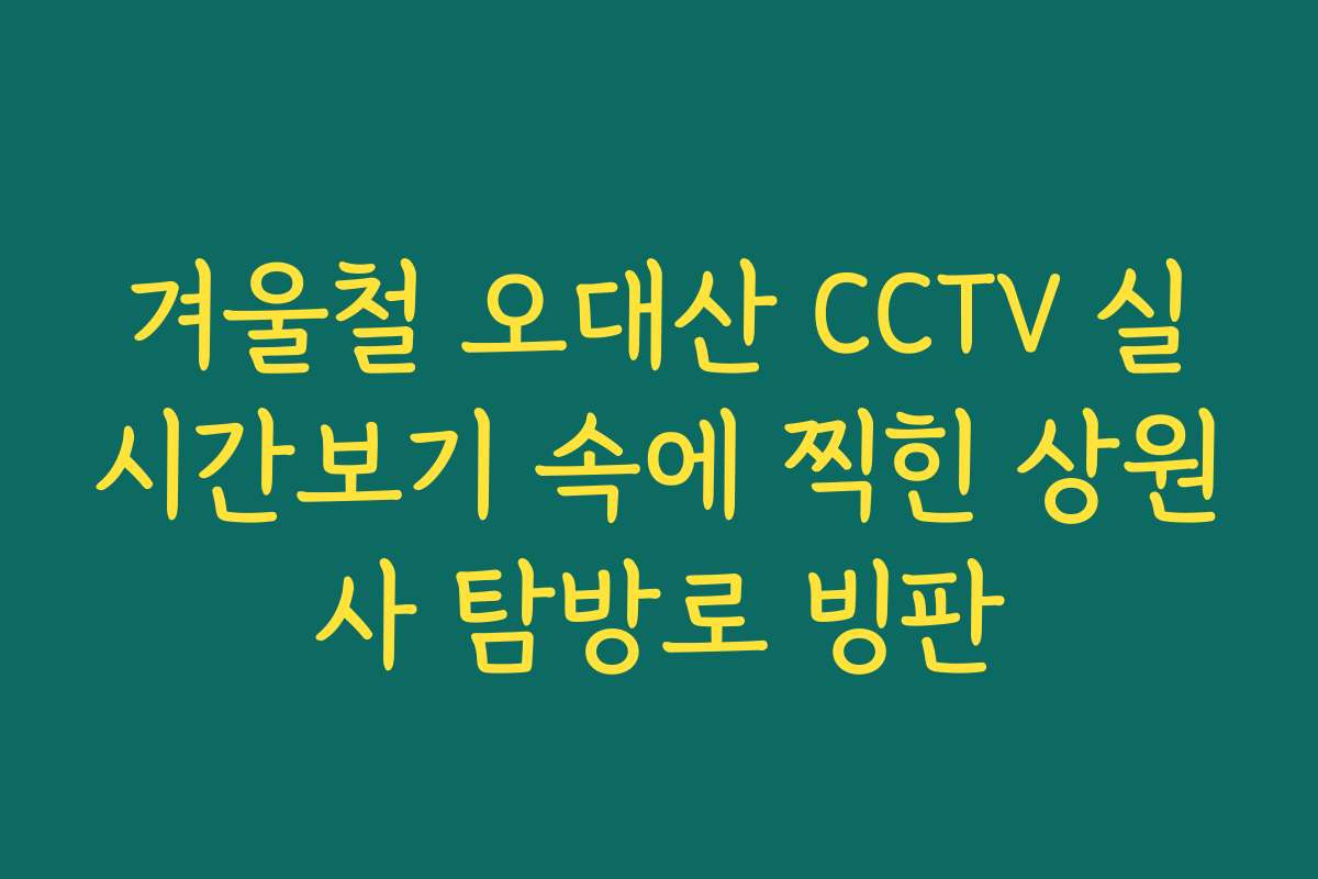 겨울철 오대산 CCTV 실시간보기 속에 찍힌 상원사 탐방로 빙판