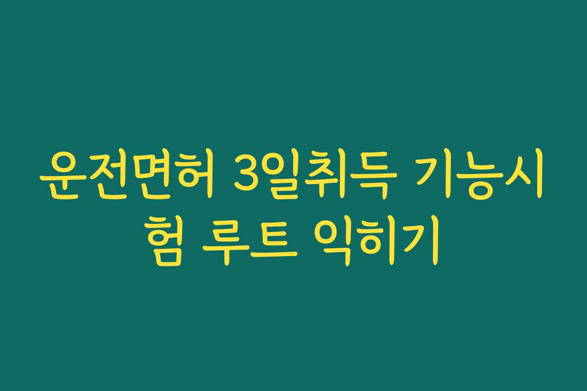 운전면허 3일취득 기능시험 루트 익히기