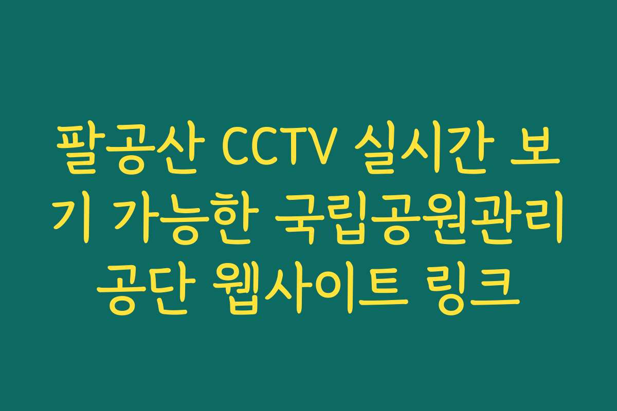 팔공산 CCTV 실시간 보기 가능한 국립공원관리공단 웹사이트 링크