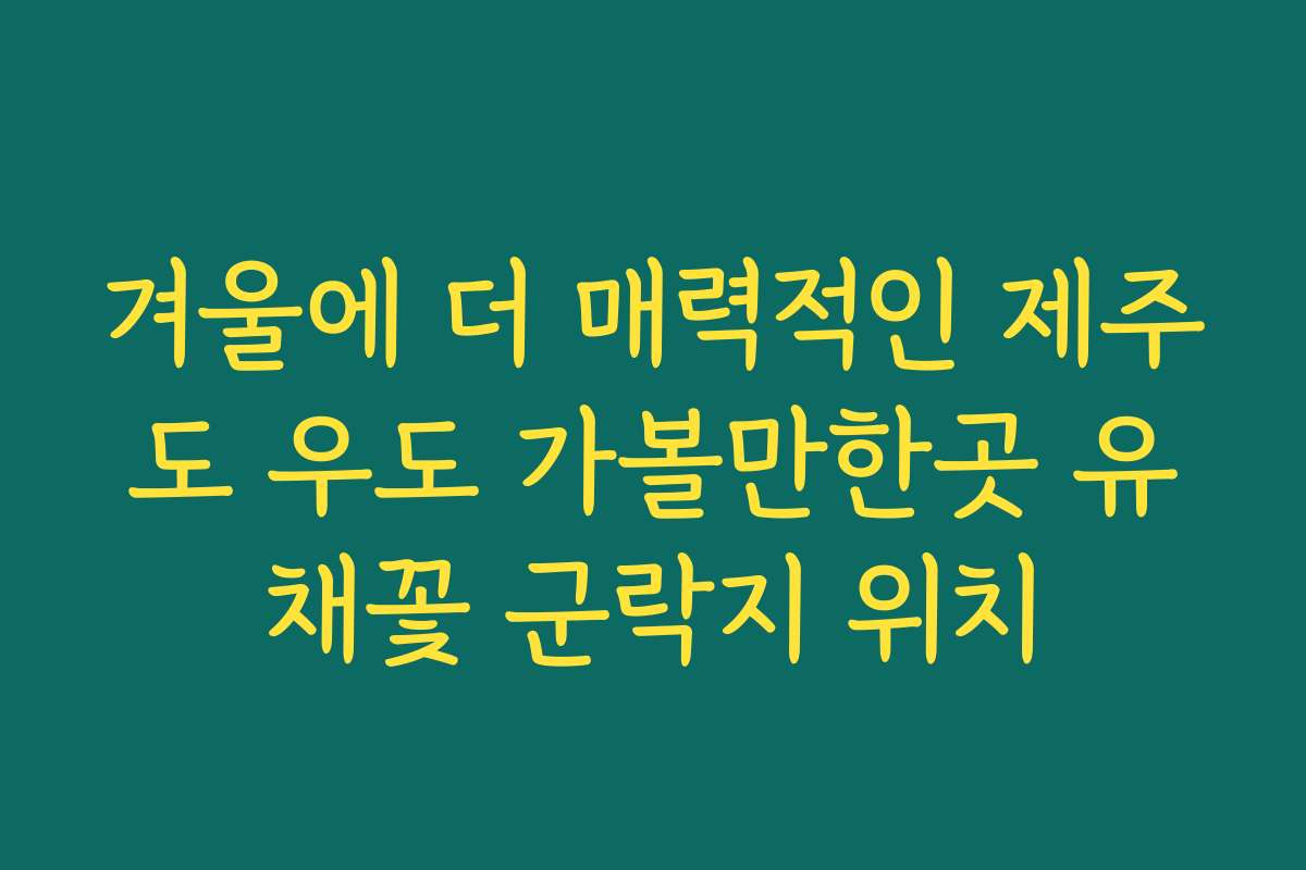 겨울에 더 매력적인 제주도 우도 가볼만한곳 유채꽃 군락지 위치