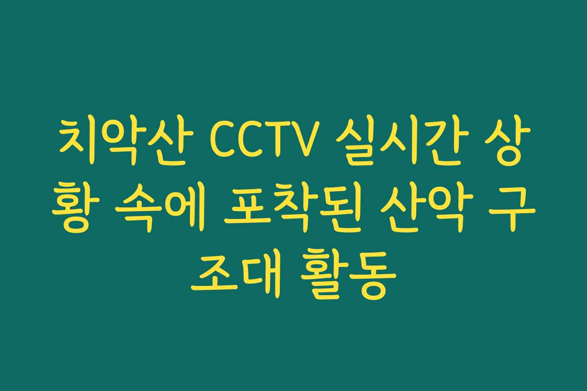 치악산 CCTV 실시간 상황 속에 포착된 산악 구조대 활동 치악산 CCTV 실시간 상황 속에 포착된 산악 구조대 활동
