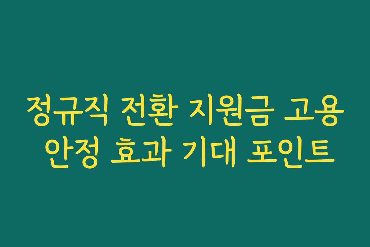 정규직 전환 지원금 고용 안정 효과 기대 포인트