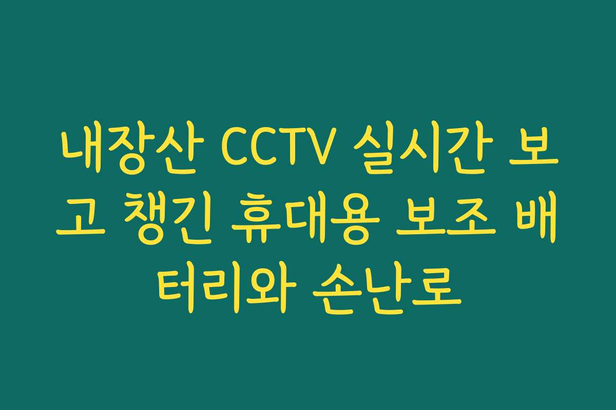 내장산 CCTV 실시간 보고 챙긴 휴대용 보조 배터리와 손난로 내장산 CCTV 실시간 보고 챙긴 휴대용 보조 배터리와 손난로