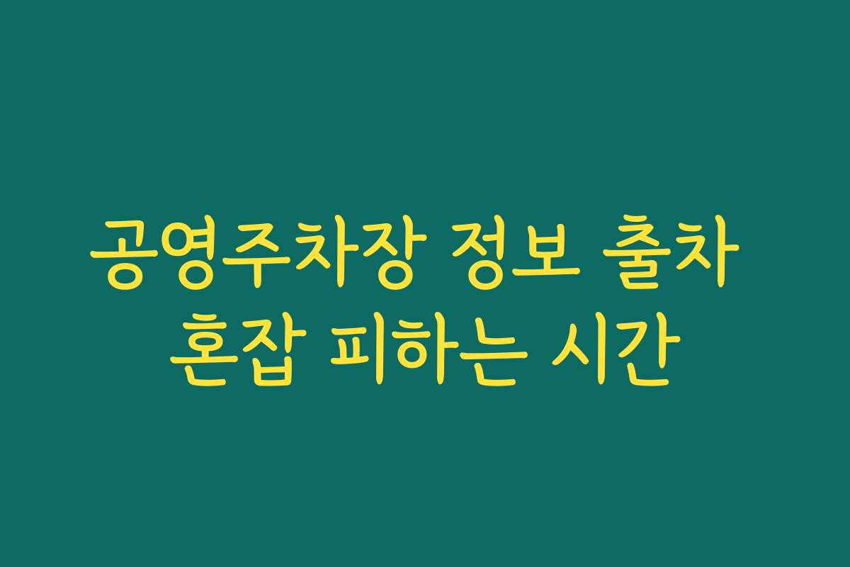 공영주차장 정보 출차 혼잡 피하는 시간