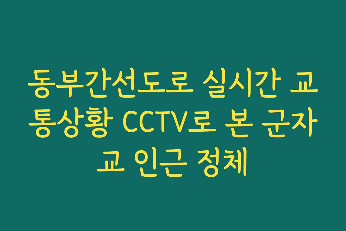 동부간선도로 실시간 교통상황 CCTV로 본 군자교 인근 정체 동부간선도로 실시간 교통상황 CCTV로 본 군자교 인근 정체