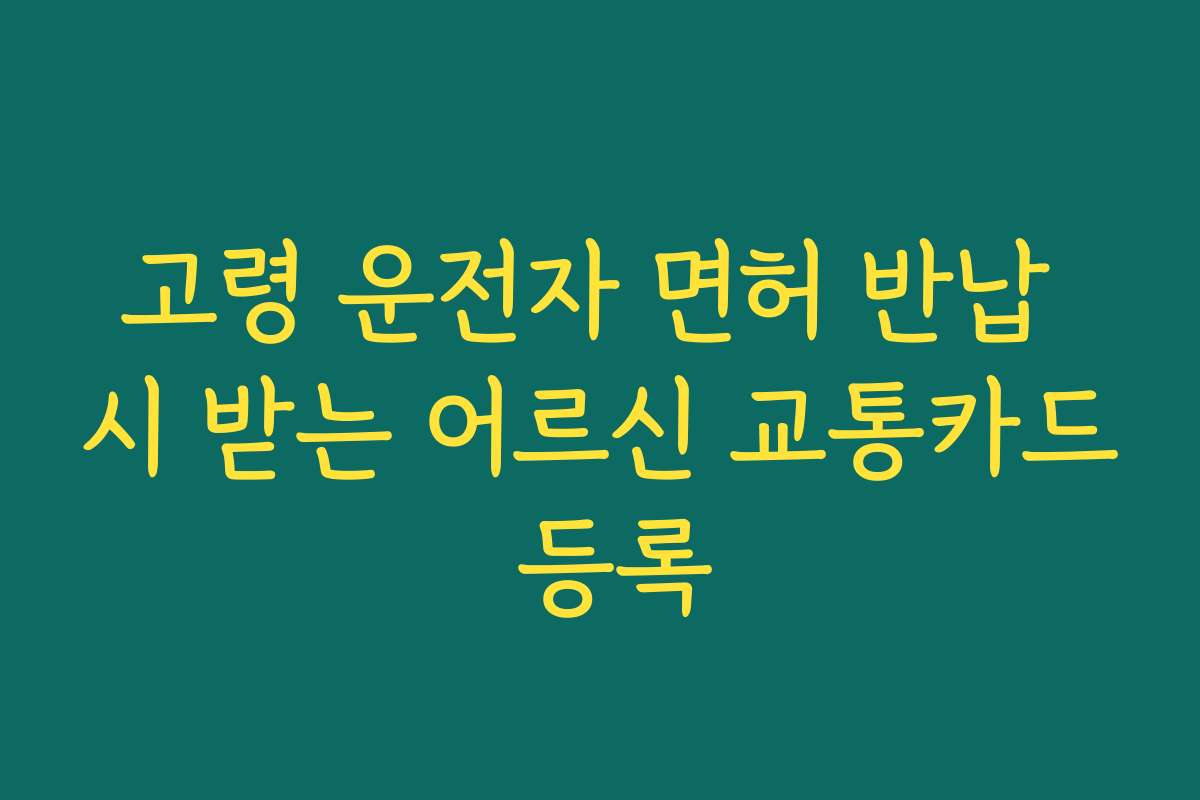 고령 운전자 면허 반납 시 받는 어르신 교통카드 등록 고령 운전자 면허 반납 시 받는 어르신 교통카드 등록