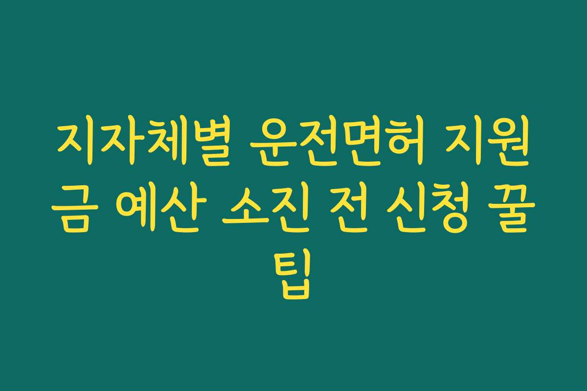 지자체별 운전면허 지원금 예산 소진 전 신청 꿀팁