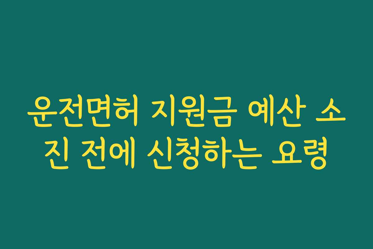 운전면허 지원금 예산 소진 전에 신청하는 요령