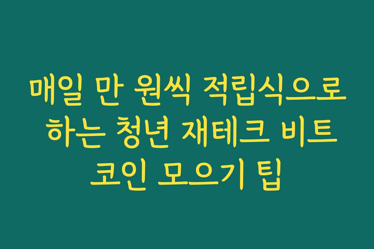 매일 만 원씩 적립식으로 하는 청년 재테크 비트코인 모으기 팁