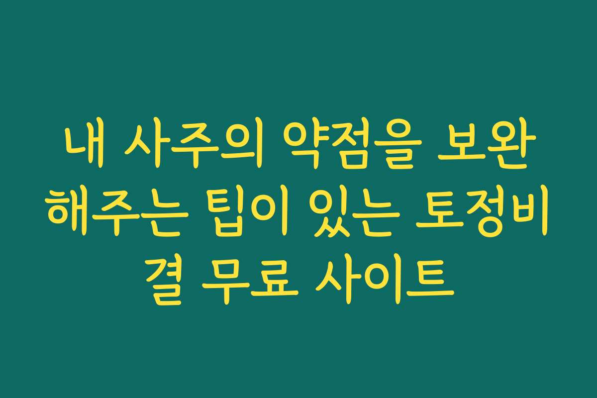내 사주의 약점을 보완해주는 팁이 있는 토정비결 무료 사이트