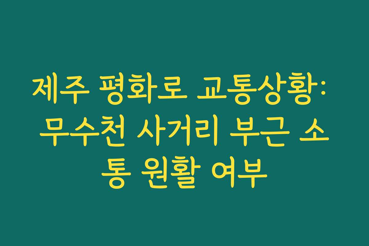 제주 평화로 교통상황: 무수천 사거리 부근 소통 원활 여부 제주 평화로 교통상황: 무수천 사거리 부근 소통 원활 여부