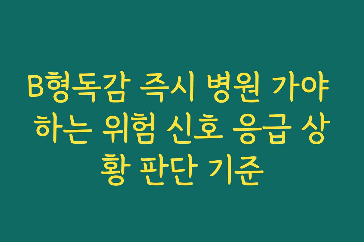 B형독감 즉시 병원 가야 하는 위험 신호 응급 상황 판단 기준 B형독감 즉시 병원 가야 하는 위험 신호 응급 상황 판단 기준