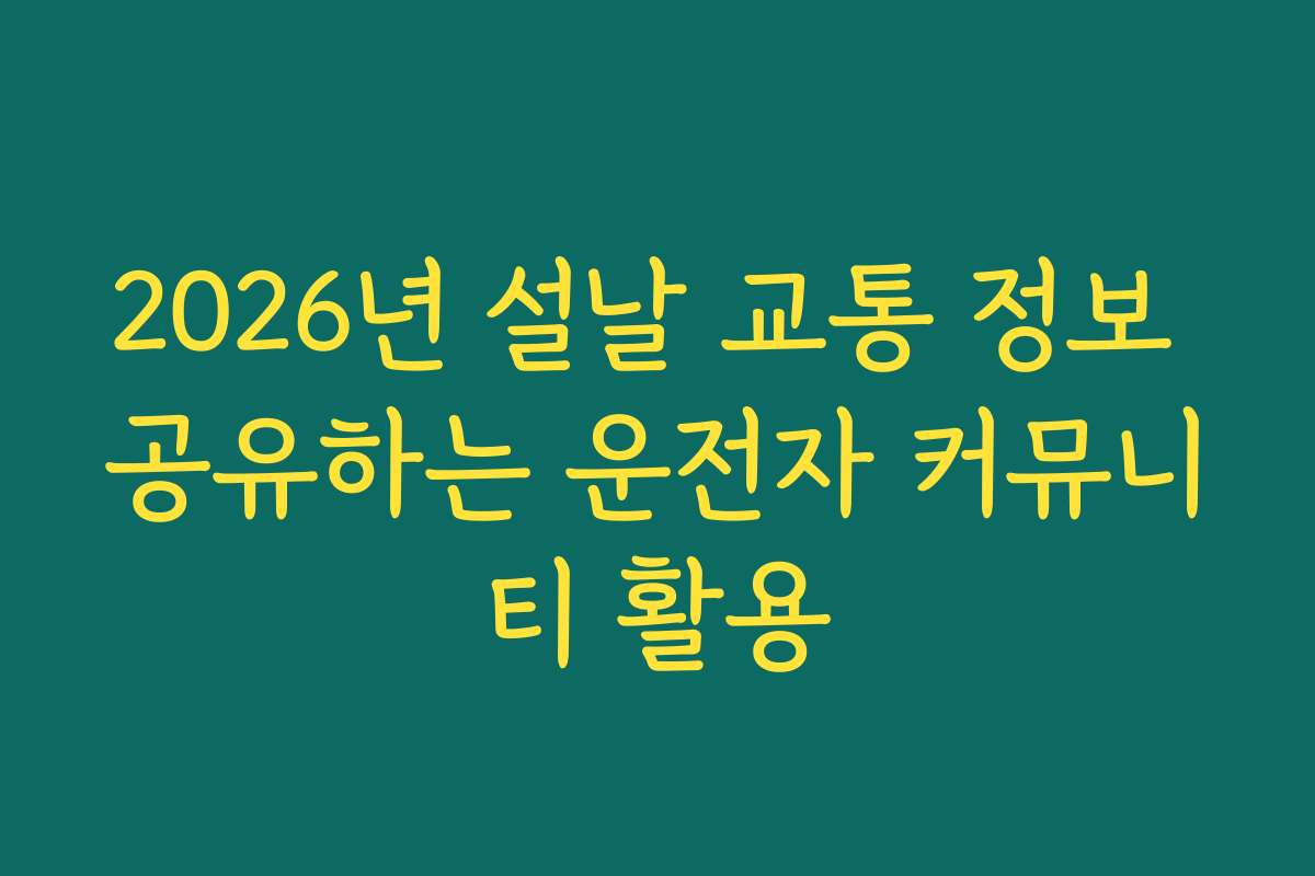 2026년 설날 교통 정보 공유하는 운전자 커뮤니티 활용