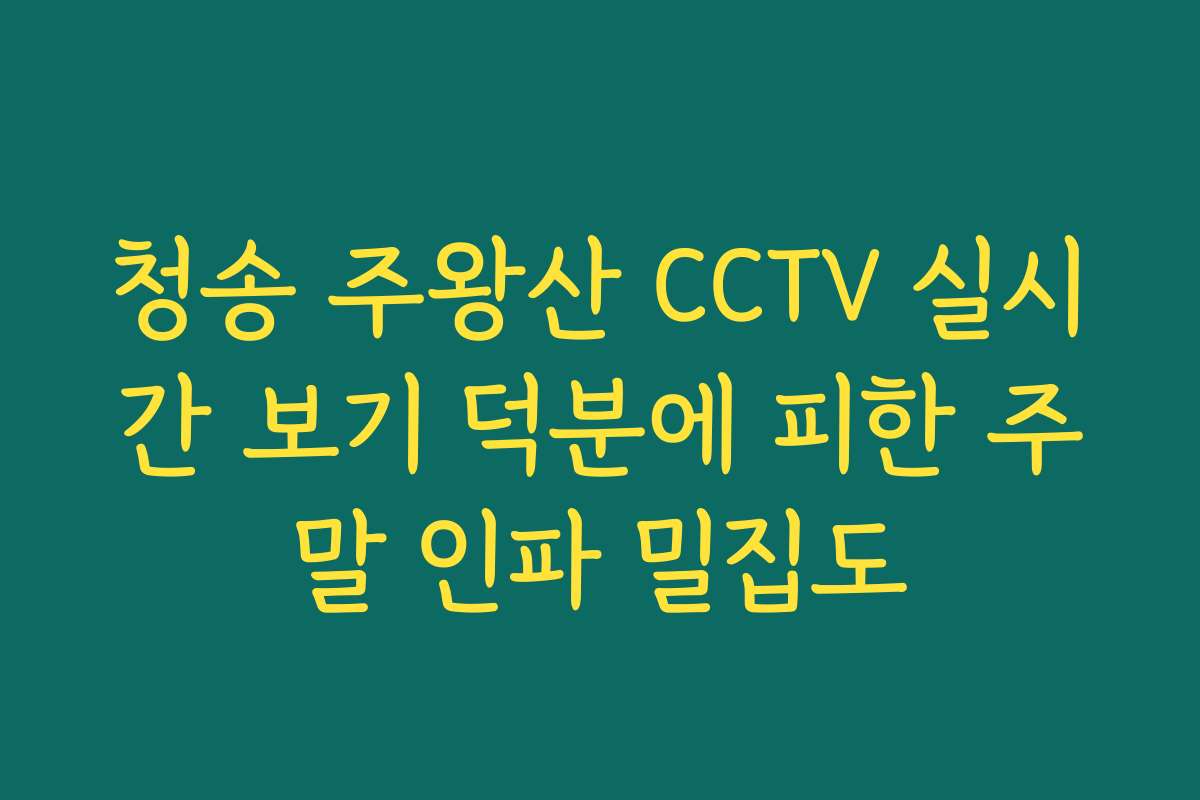 청송 주왕산 CCTV 실시간 보기 덕분에 피한 주말 인파 밀집도