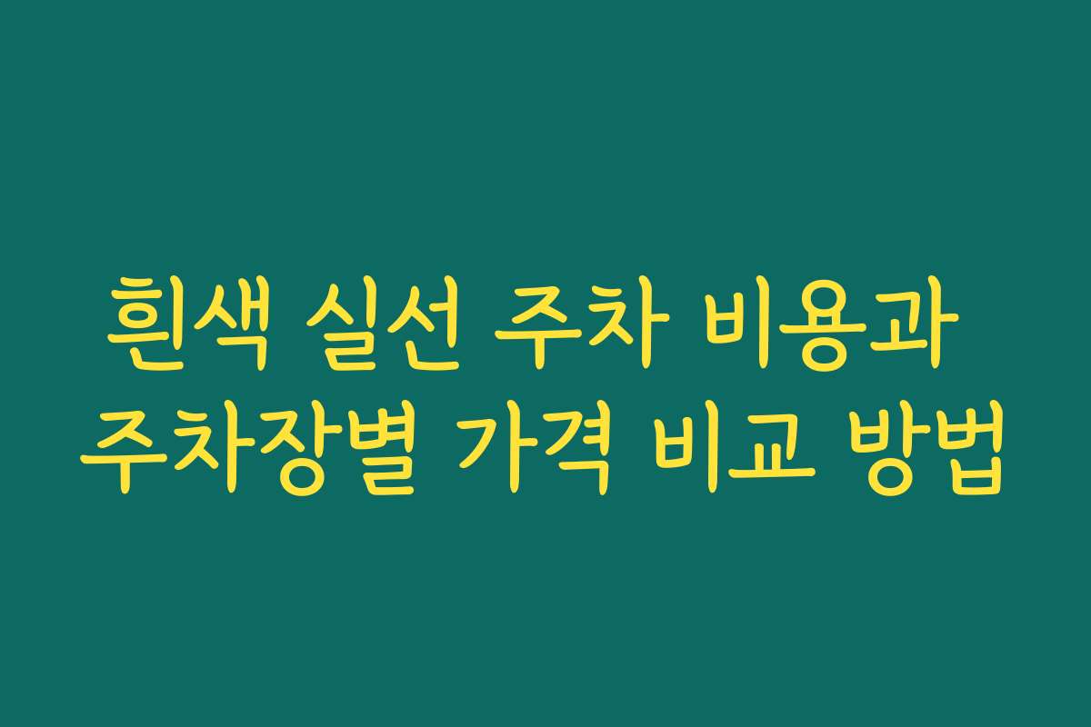 흰색 실선 주차 비용과 주차장별 가격 비교 방법