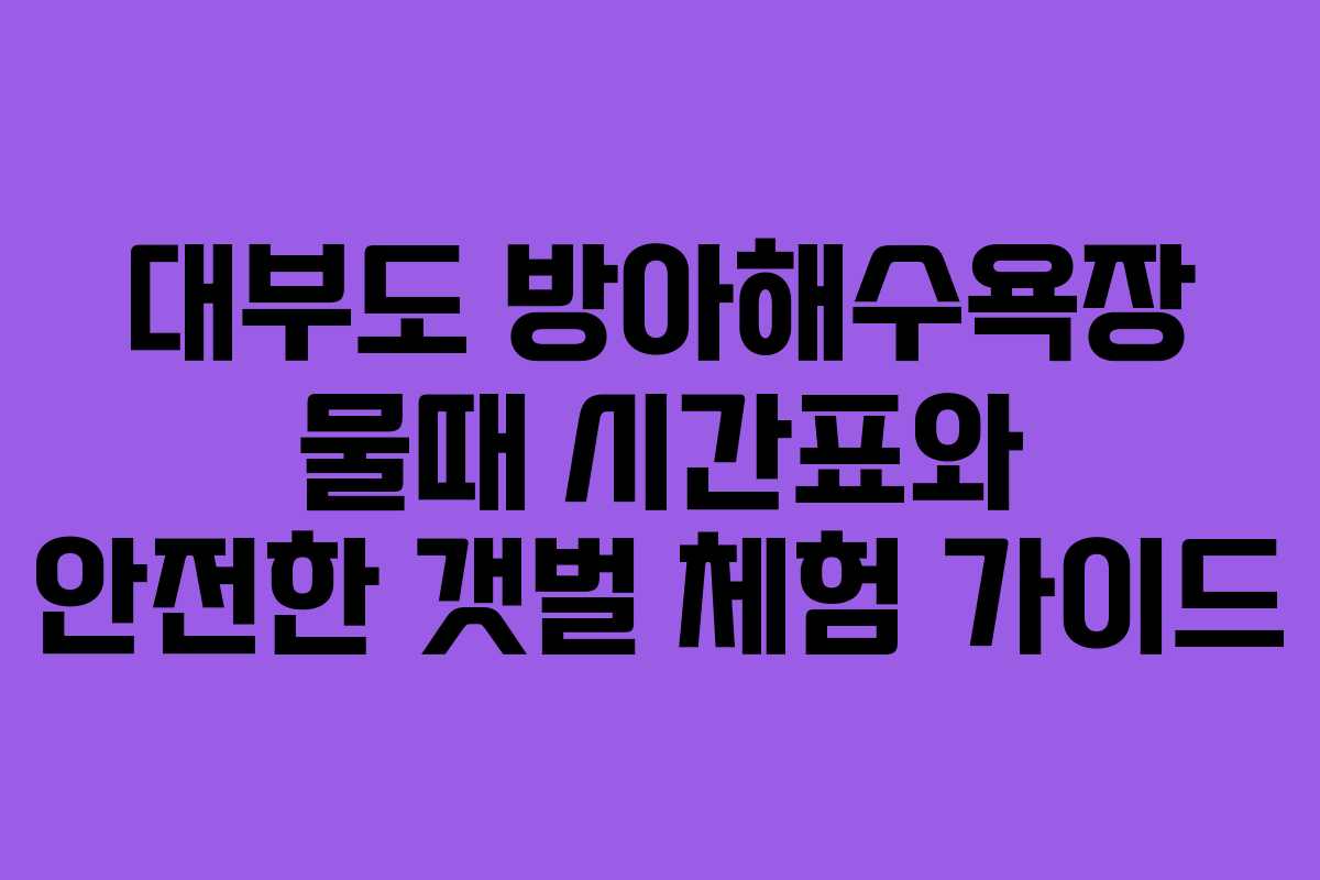 대부도 방아해수욕장 물때 시간표와 안전한 갯벌 체험 가이드