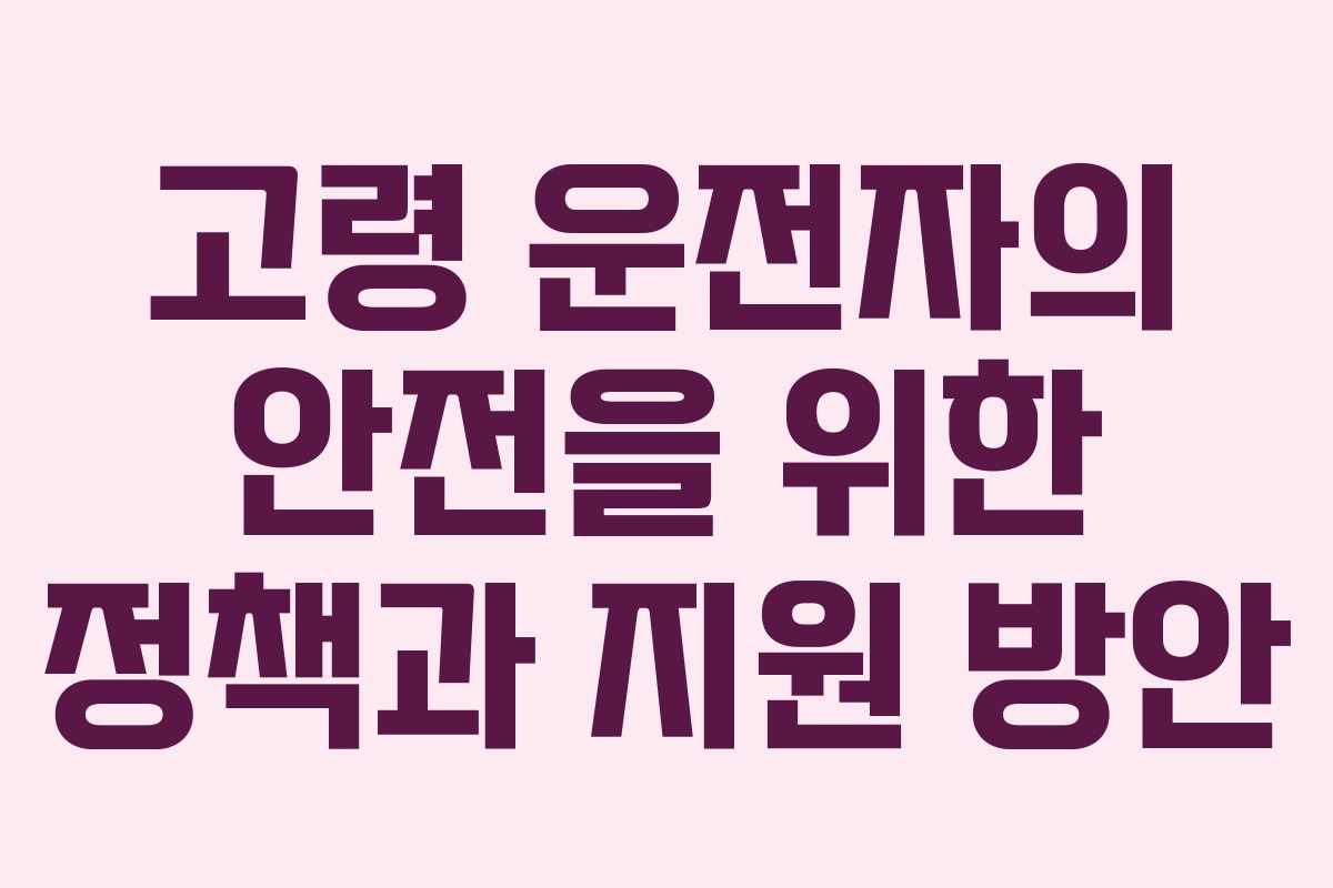 고령 운전자의 안전을 위한 정책과 지원 방안 고령 운전자의 안전을 위한 정책과 지원 방안