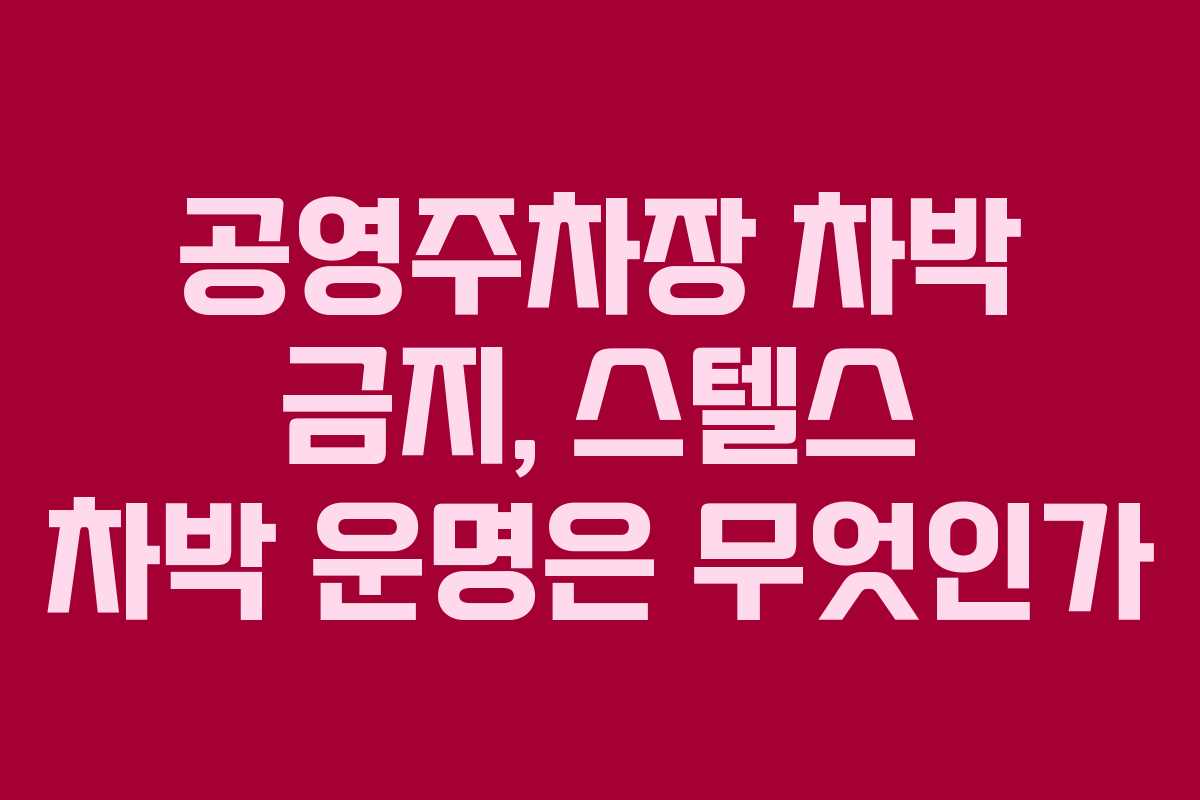 공영주차장 차박 금지, 스텔스 차박 운명은 무엇인가