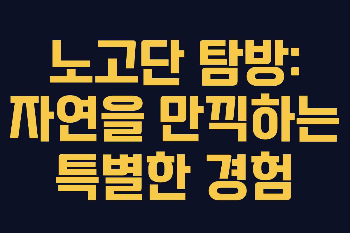 노고단 탐방: 자연을 만끽하는 특별한 경험