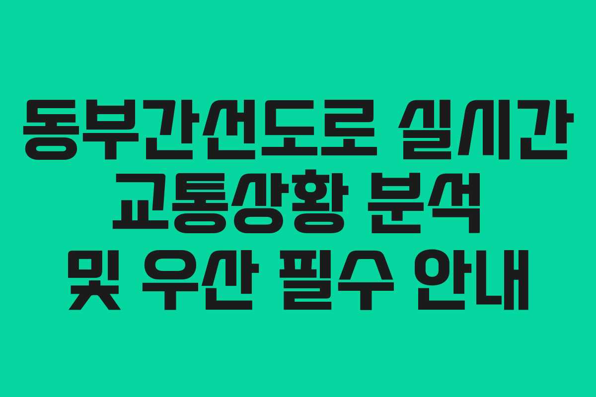 동부간선도로 실시간 교통상황 분석 및 우산 필수 안내