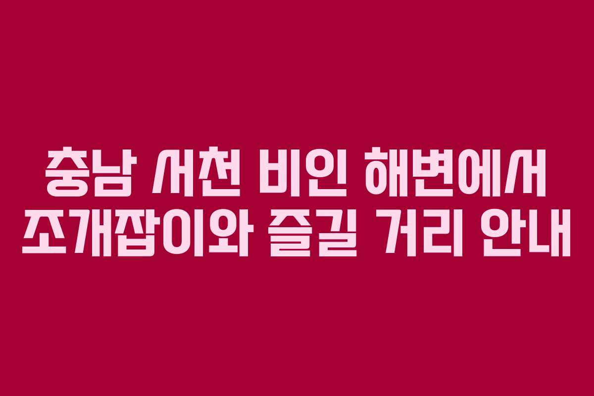 충남 서천 비인 해변에서 조개잡이와 즐길 거리 안내