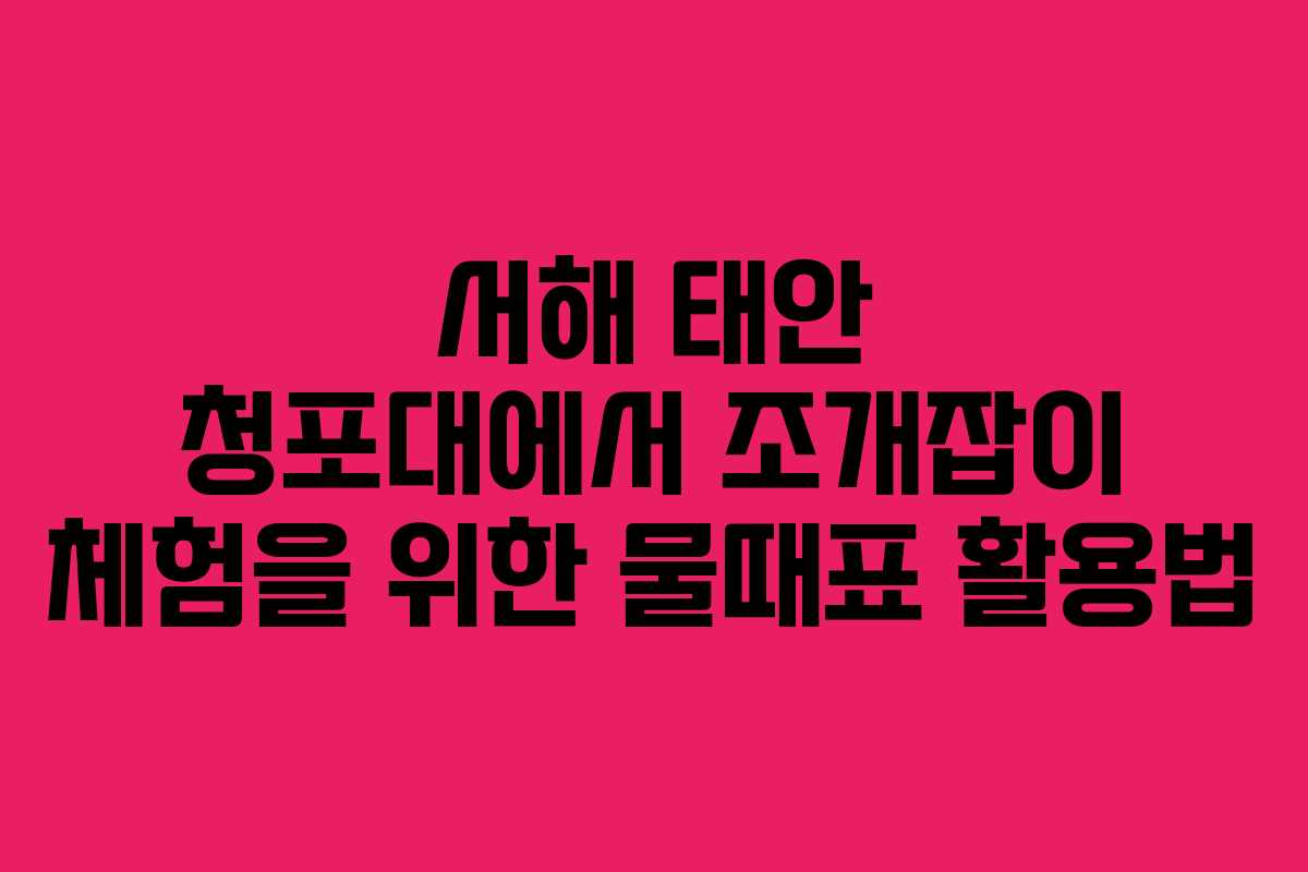서해 태안 청포대에서 조개잡이 체험을 위한 물때표 활용법