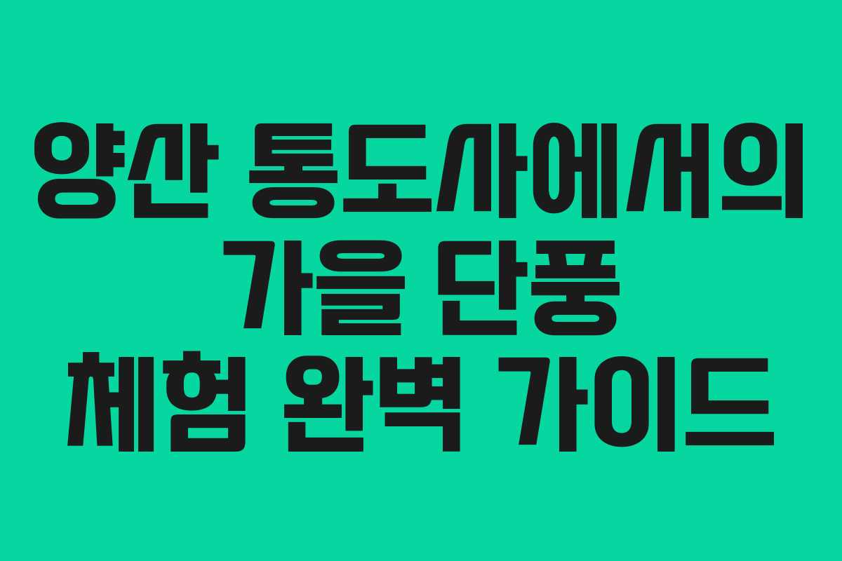 양산 통도사에서의 가을 단풍 체험 완벽 가이드