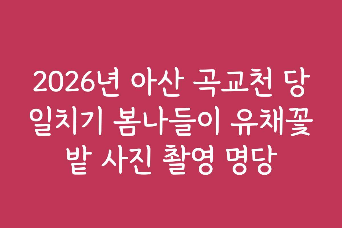 2026년 아산 곡교천 당일치기 봄나들이 유채꽃밭 사진 촬영 명당