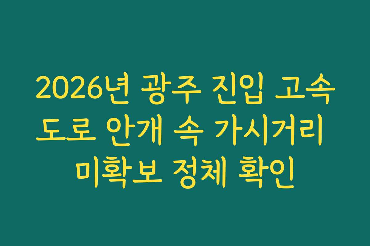 2026년 광주 진입 고속도로 안개 속 가시거리 미확보 정체 확인