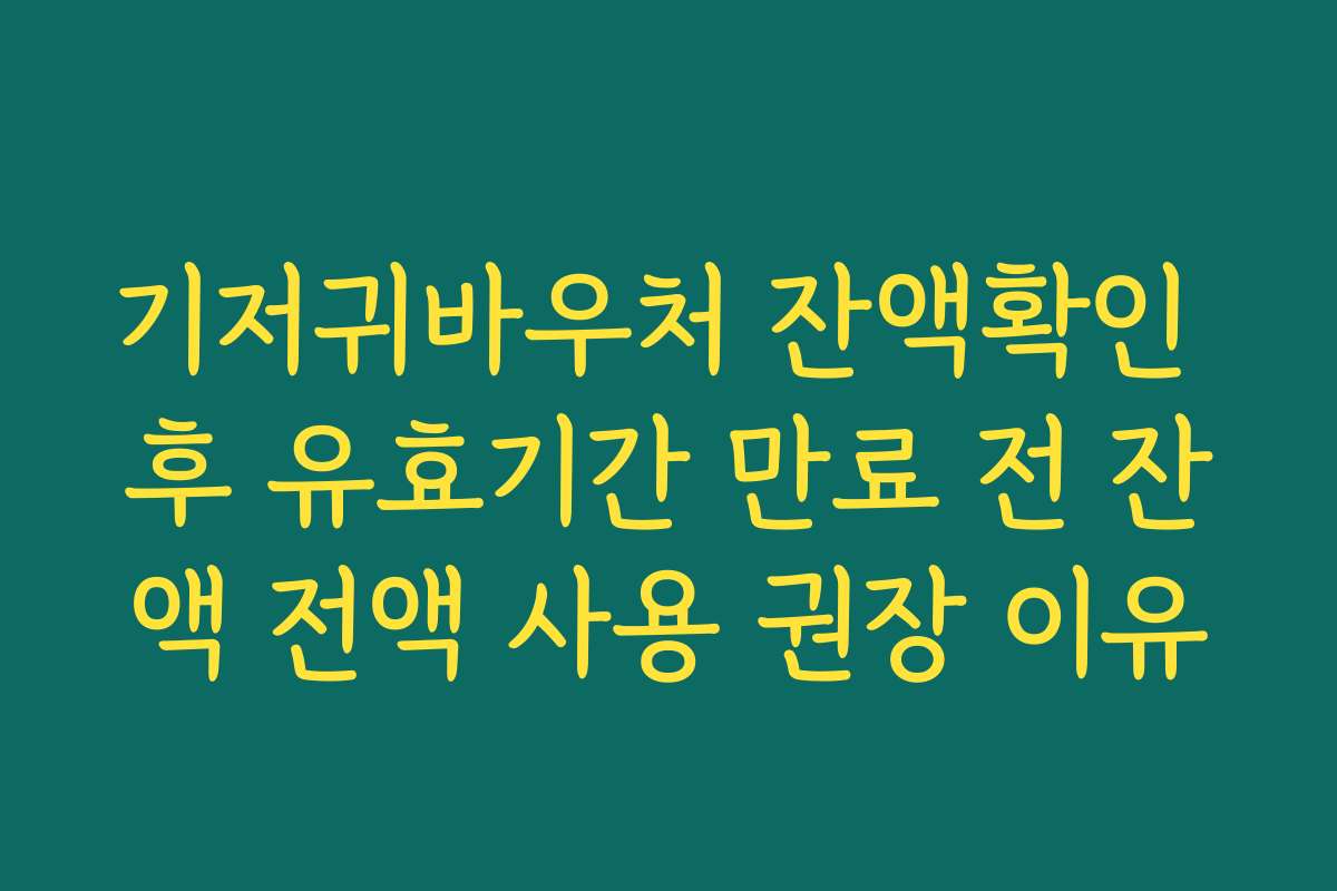 기저귀바우처 잔액확인 후 유효기간 만료 전 잔액 전액 사용 권장 이유 기저귀바우처 잔액확인 후 유효기간 만료 전 잔액 전액 사용 권장 이유