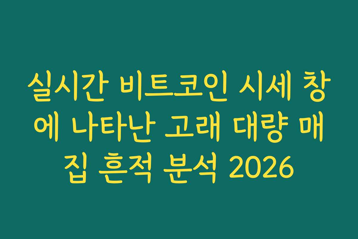 실시간 비트코인 시세 창에 나타난 고래 대량 매집 흔적 분석 2026