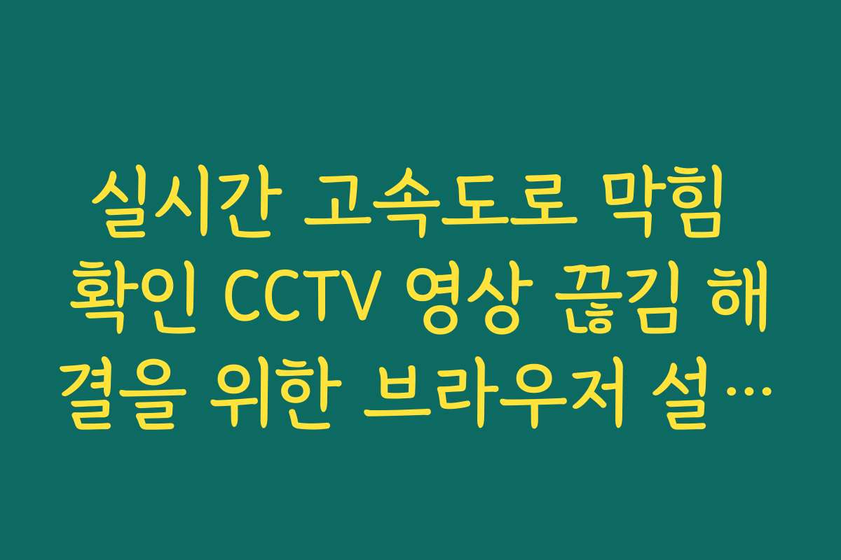실시간 고속도로 막힘 확인 CCTV 영상 끊김 해결을 위한 브라우저 설정 가이드
