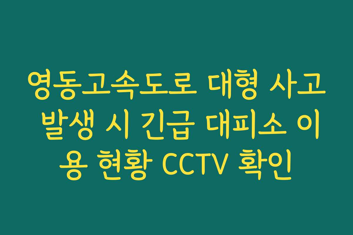 영동고속도로 대형 사고 발생 시 긴급 대피소 이용 현황 CCTV 확인 영동고속도로 대형 사고 발생 시 긴급 대피소 이용 현황 CCTV 확인