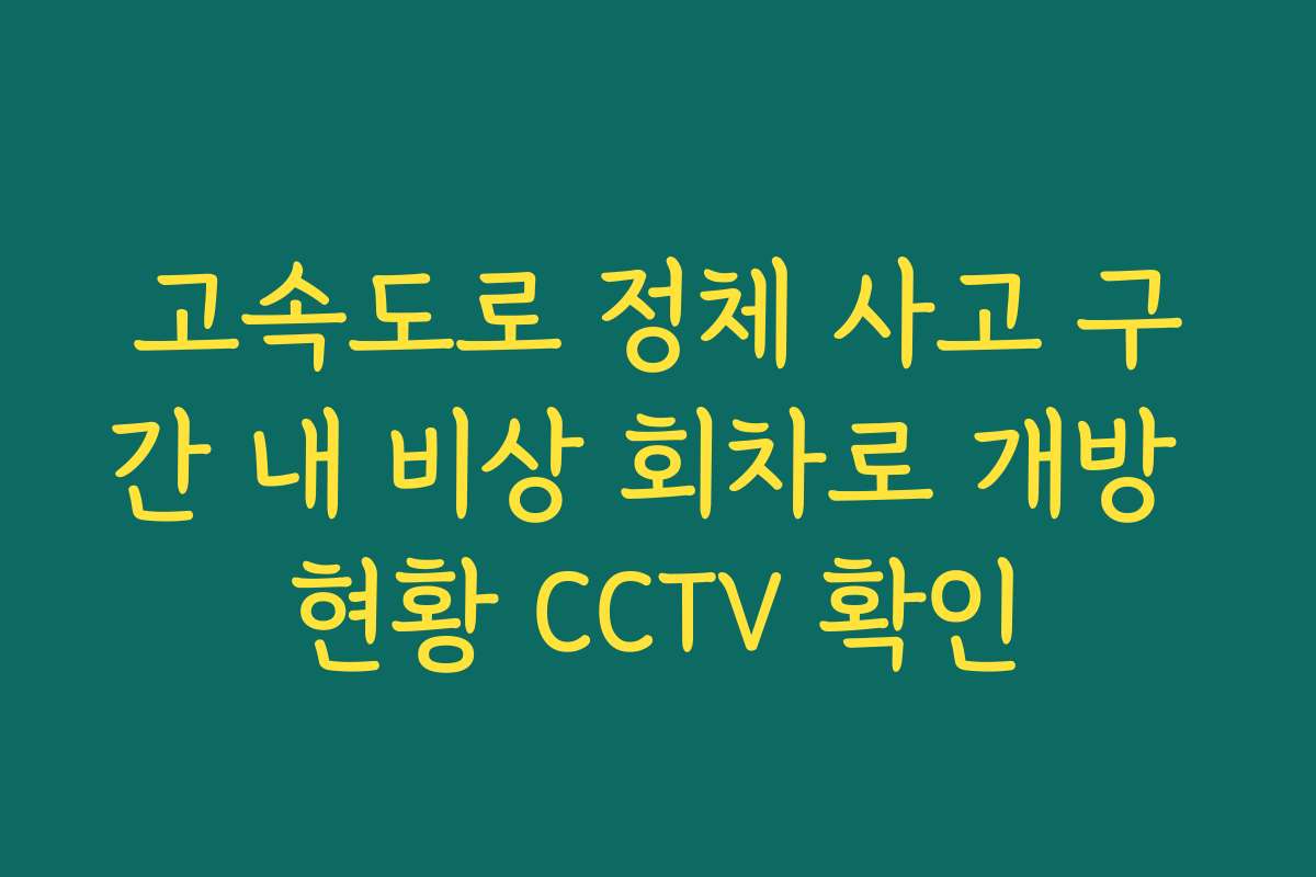 고속도로 정체 사고 구간 내 비상 회차로 개방 현황 CCTV 확인