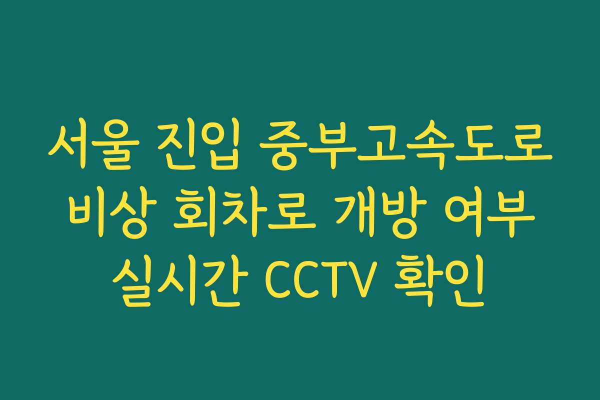서울 진입 중부고속도로 비상 회차로 개방 여부 실시간 CCTV 확인 서울 진입 중부고속도로 비상 회차로 개방 여부 실시간 CCTV 확인