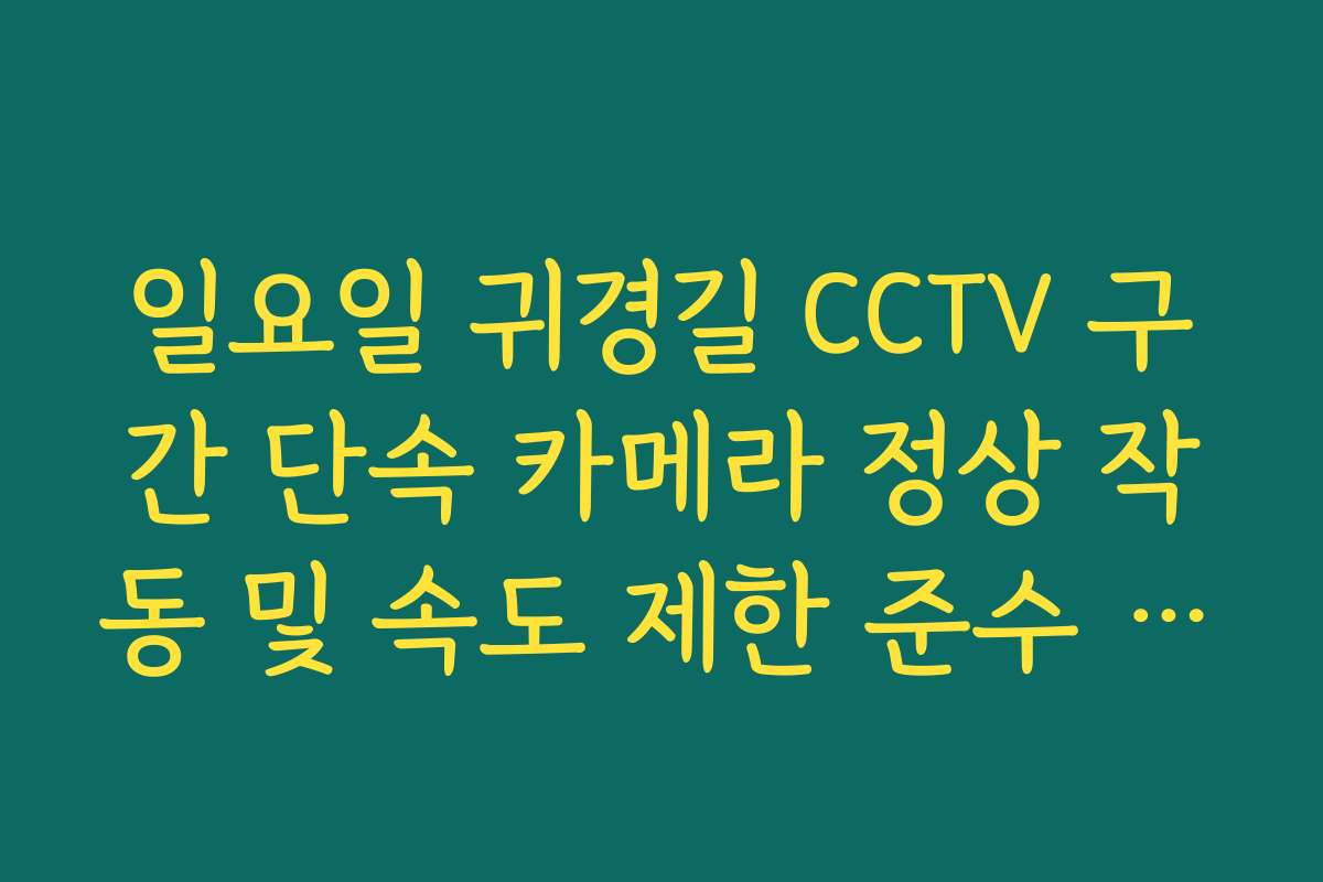 일요일 귀경길 CCTV 구간 단속 카메라 정상 작동 및 속도 제한 준수 여부 일요일 귀경길 CCTV 구간 단속 카메라 정상 작동 및 속도 제한 준수 여부